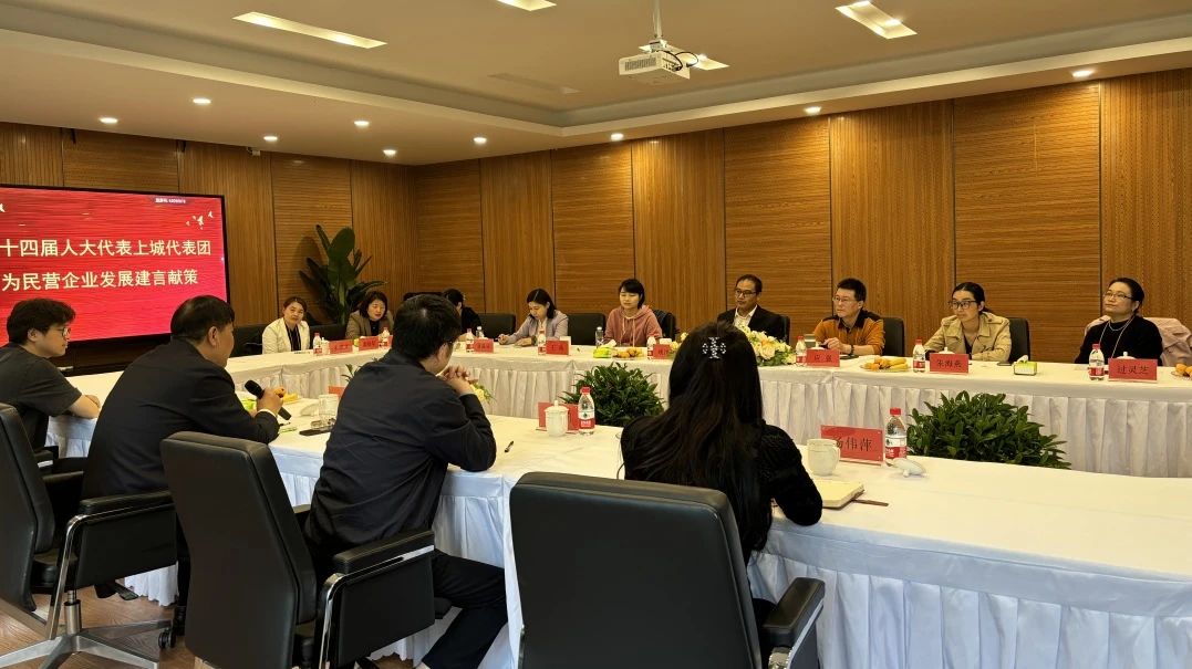市十四届人大代表上城代表团赴PG电子控股视察民营企业发展